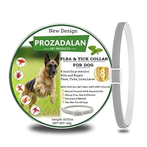 PROZADALAN Nuevo Diseño – Collares Antiparasitario para Perros, Eficaz Collar Antiparasitos Perros contra Pulgas y Garrapatas, 63cm Ajustable e Impermeable para Mascotas Pequeñas, Medianas y Grandes