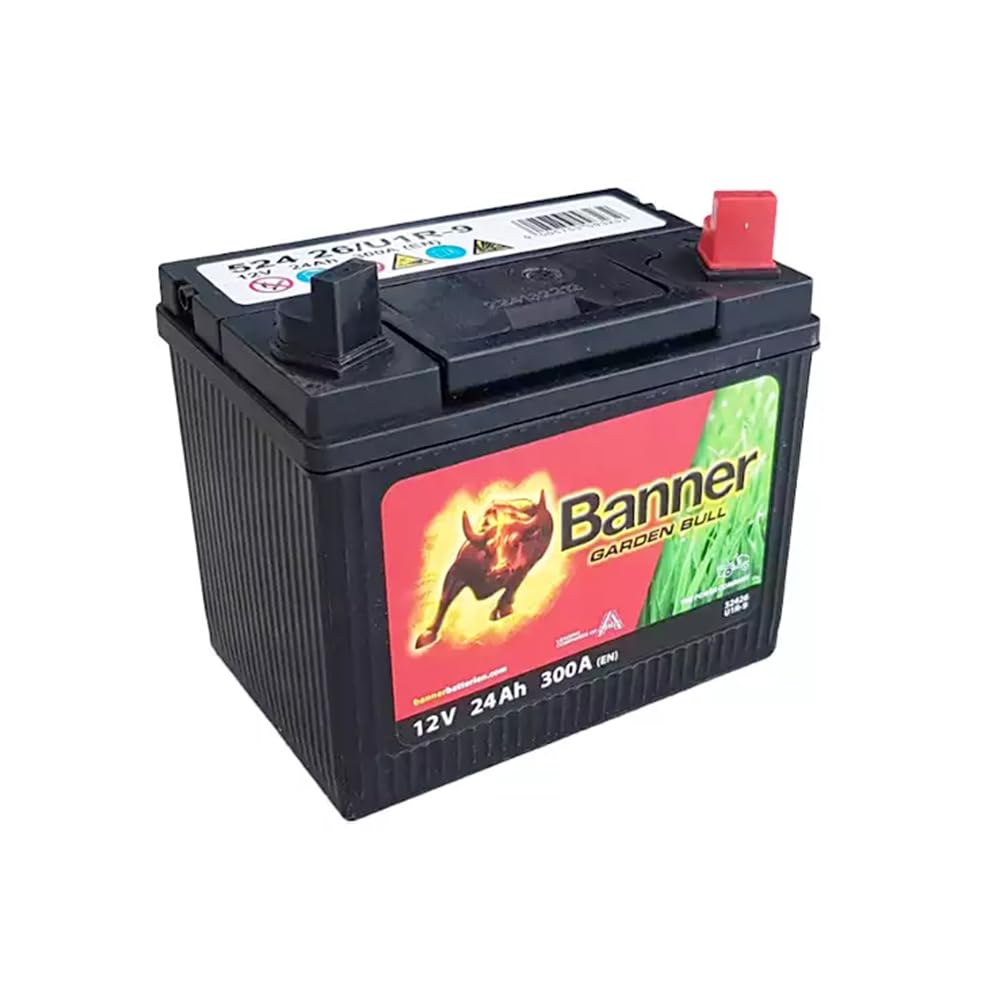 Batteria tosaerba Banner U1R-9 12V 24Ah 300A