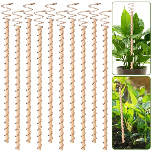 Doksving 10pcs Electroculture Plant Stakes 13.5 Copper Coil Wire Antennas Garden Stakes Tensor Rings Kit Copper Rods Electronic Planting for Growing Vegetable Garden Plants Support Outdoor Indoor