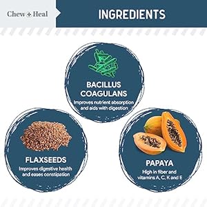 Digestive Enzymes with Probiotics for Dogs – 120 Soft Chews – Supports Healthy Digestive Tract, Helps Nutrient Absorption, Food Digestion, and Health Maintenance