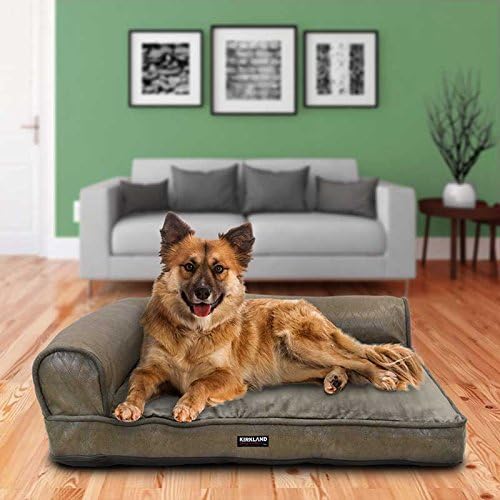 memory foam dog bed costco