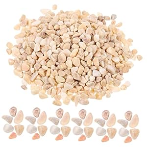 BESTonZON 1 Dekorative Mini-Garten Kieselsteine