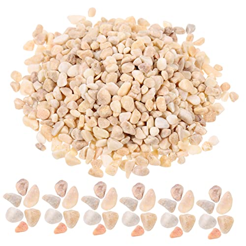 BESTonZON 1 Dekorative Mini-Garten Kieselsteine