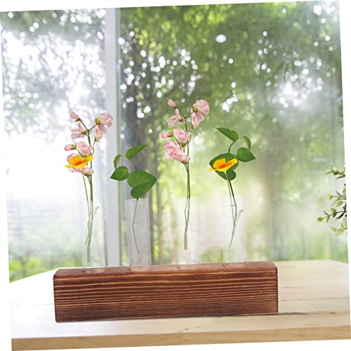Jarrón hidropónico de vidrio Mobestech para plantas sin ensuciar la mesa 7