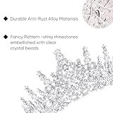 Zoom IMG-1 dreshow corona e fusciacca di Zoom IMG-1 dreshow corona e fusciacca di