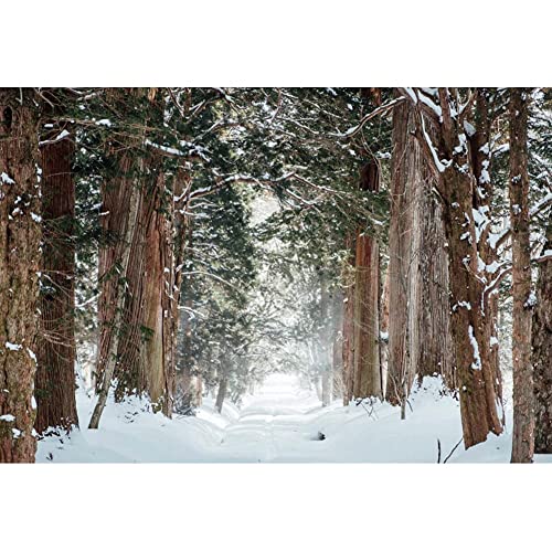 Fondo Fotográfico 10x8ft Tema Invierno Yeele miniatura 1