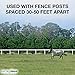 ElectroBraid PBRC1000C2-EB 1000 ft. Reel - Electric Fencing Designed for Horses