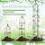 Sadnyy 2 Pack 7 ft Garden Trellis Obelisk for Rose Trellis Climbing Plants Outdoor Rustproof for Pots Tall Tower Plant Support Metal Garden Vines Flower Plants Support Outdoor Indoor (Black)