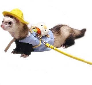Ferret Clothes Set Small Animal Harness and Leash Adjustable Chest Straps Ferret Apparel Outdoor Walking Accessories Outfit Halloween Party Cosplay for Ferret,Rabbit,Guinea Pig,Chinchilla,Kitten