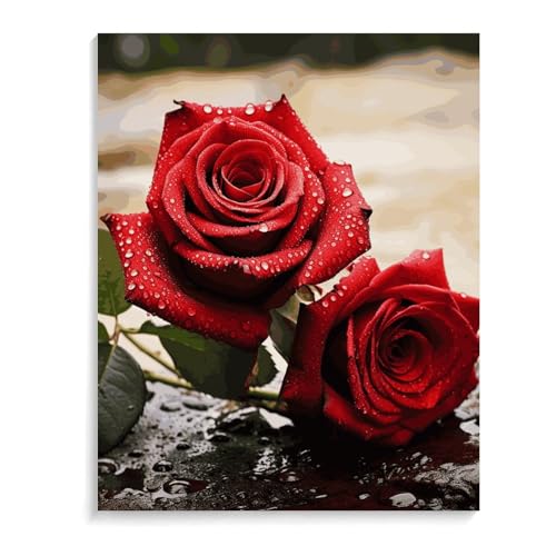 Peinture par numéro rose rouge pour créer une déco murale salon