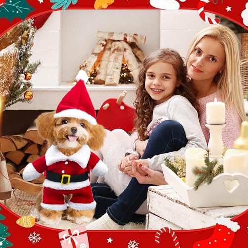 Hundekostüme Weihnachten, Haustier Weihnachtskostüm, Katze Hund Weihnachtskostüm mit Mütze Weihnachtsmann, für Welpen Kätzchen kleine Hunde Haustiere, Katze Hund Cosplay (M)