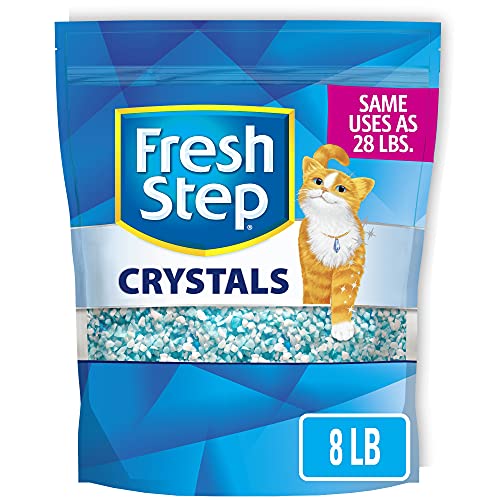  Cat Litter, Scented, 16 Pounds