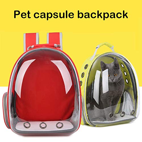 Dheera Bolsa para transporte de gatos, bolsa respirável para transporte de animais de estimação, moc