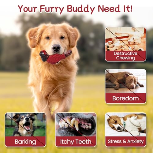 Image of WinTour Tough Dog Toys for Aggressive Chewers, Dog Chew Toys for Large Dogs, Turkey Indestructible Squeaky Dogs Toy to Keep Them Busy