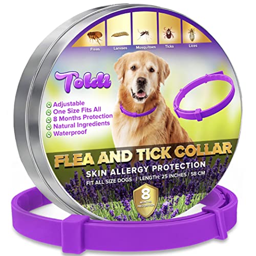 Toldi Traitement antipuces pour Chiens, Collier antiparasitaire pour Chien, Collier antipuces réglable pour Chien, 8 Mois de Protection Contre Les tiques pour Chiots, Collier Anti poux et antitiques