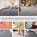 21 Pcs Carpet Spot Markers,4