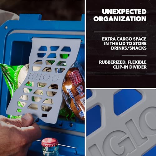 Igloo Gripper CoolBox 10 Qt Cooler, Jet Carbon - image 3