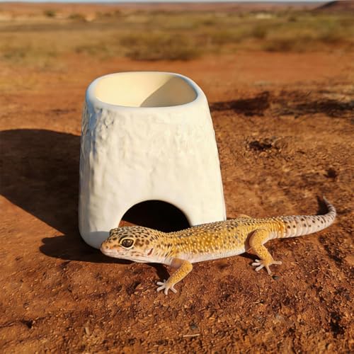 Abri reptiles anti-stress : solution cachette gecko facile à laver - 8