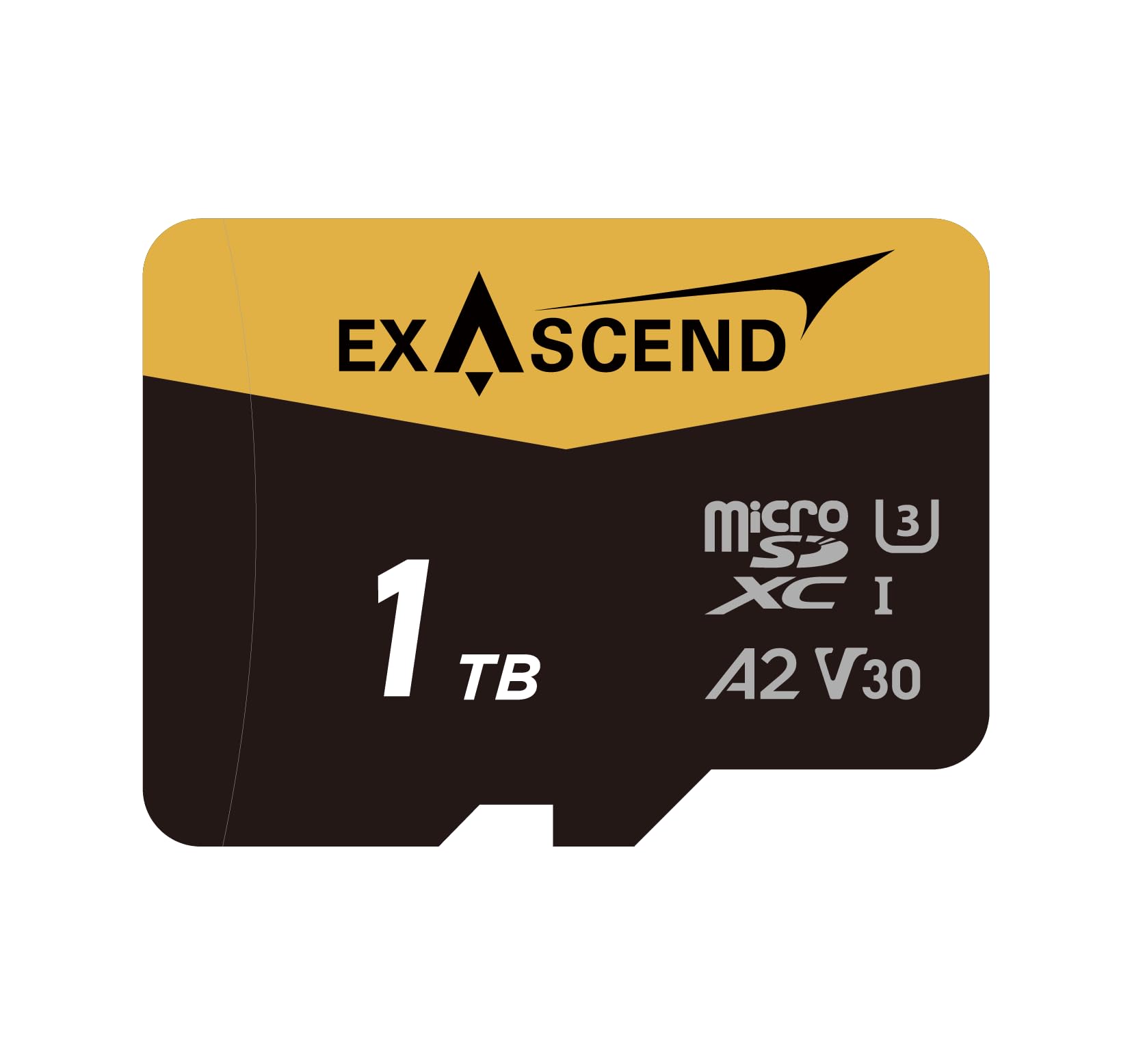 Exascend Scheda microSD Catalyst da 1TB (UHS-​I, V30) - Scheda di memoria estremamente potente per video 4K, droni, action cam e dispositivi mobili, massima capacità e alta affidabilità