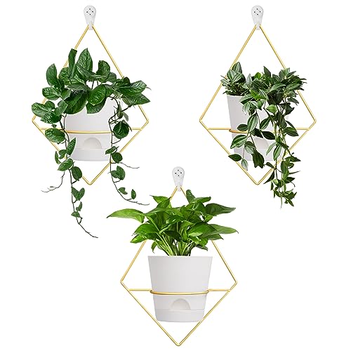 Koalaime 3 Sets Wall Planters for Indoor Plants Geometric Hanging Planters for Indoor Plants - Self-Watering Flower Pots with Black Metal Holder, Mounted Succulent Planter, 5' Black Plant Pot