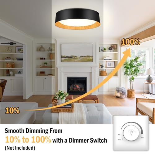Image of Flush Mount Ceiling Light, 16in Modern Ceiling Light 5 Color Temperature