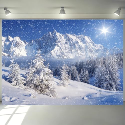 Toile de fond hiver et forêt pour photo de famille lors des fêtes