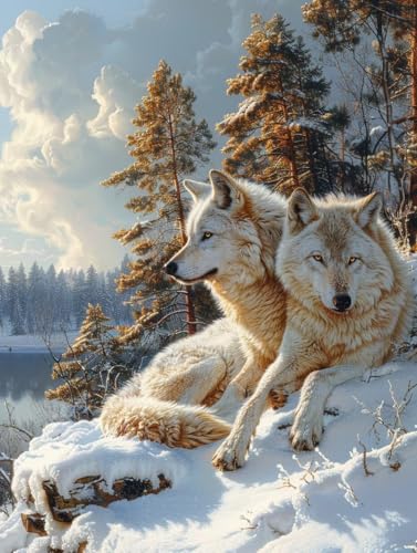 T yCgoCio[ iF DIY G ANG̋ ZbgƃuVt G lp S G hG  A[gNtg z[fR[V av[g 90x120cm 7-1461