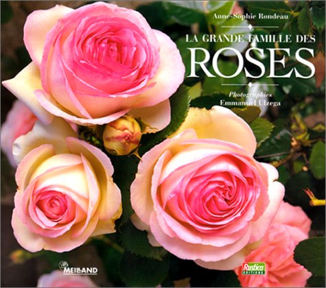amazon-fr-la-grande-famille-des-roses-rondeau-anne-sophie-livres