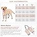 ROZKITCH Dog Surgery Leg Sleeve for Front Legs, Pet Prevent Licking Wound Elbow Knee Protector, Dog Leg Sleeve to Stop Licking Cone Collar Alternative for Sprain ACL CCL Arthritis Cute Dog L