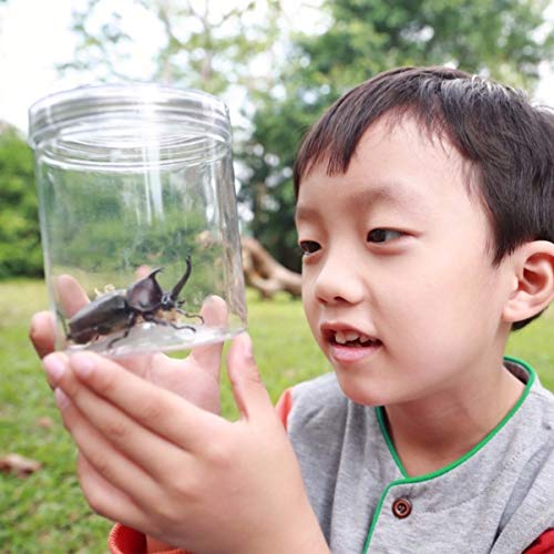 BESPORTBLE 6 Pcs Crianças Bug Explorer Kit Caixa de Observação de Insetos Lupa Pinça Borboleta Captu