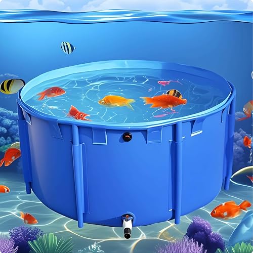 Bassin hors sol facile à installer pour éviter les travaux