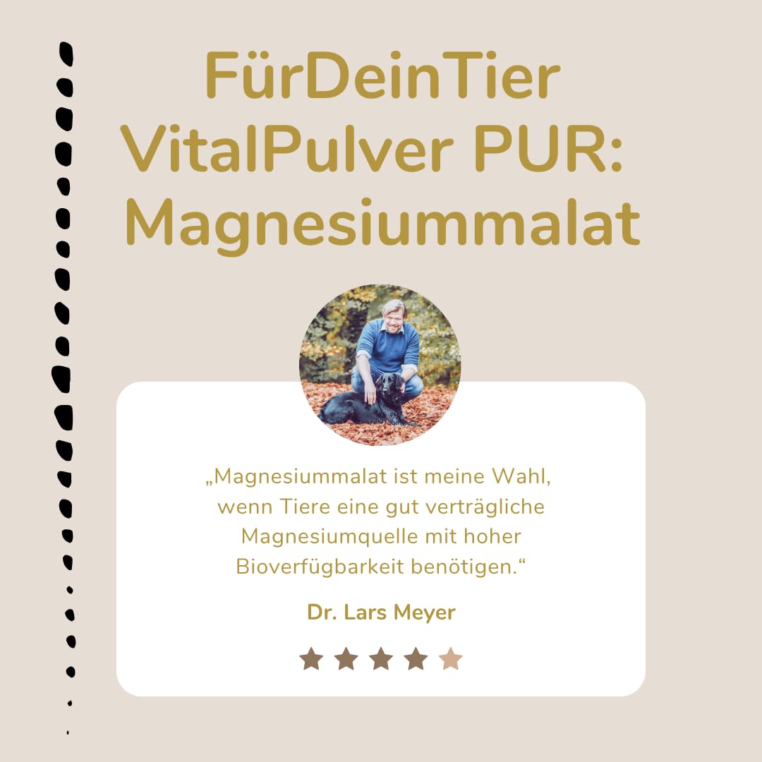 Für Dein Tier VitalPulver Pur | Magnesiummalat (1 x 300 g) | Ergänzung der Fütterung für Hunde, Katzen und Pferde | Organisches Magnesium mit Apfelsäure | Unterstützt Leistungsfähigkeit und Vitalität