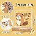 Inspirational Squirrel Home Office Desk DecorGraduation Gift Thank You Appreciation Gifts Positive Room Table Sign for Students Friends TeamThe Tooth