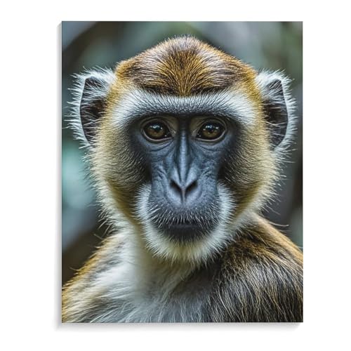 Poster suspendu The Silent Monkey en toile lin premium avec cadre en bois élégant
