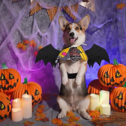 Binlava Halloween Kostüm Hund Fledermaus Flügel, Hundekostüm mit Kürbisglocke, Einstellbar Haustier Fledermaus Kostüm, Niedlich Haustier-Cosplay-Dekorationen für Kleiner Hunde Halloween-Party(M)