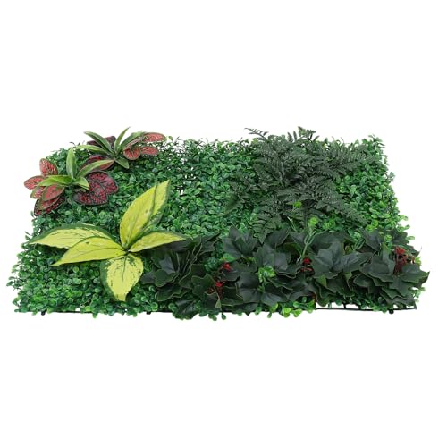 m[uhi lHŕǃpl yʑϋv ჁeiX GK ybgΉ ǖʑ K[ftFX ډB CeAp