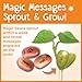 Creativity for Kids Magic Bean Garden, Reveal Magic Messages - Arts and Crafts for Girls and Boys, Unique Gift for Kids (Ages 5+)