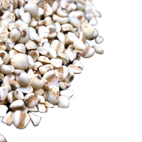 A É Y ͂Ƃނ  ngM Job's tears Adlay 悭ɂ NCj 䏐m ͂Ɣ ng G G (220g)