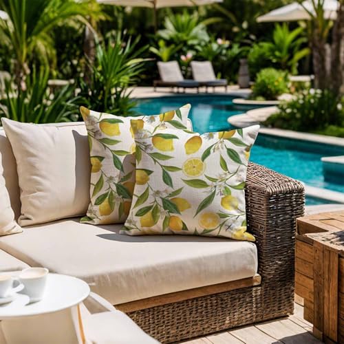 Jayusaror Outdoor Kissenbezug 40x40 Wetterfest Kissen Gelb Zitronen Sofakissen Blumen Kissenhülle Frühling Sommer Wasserdicht Kissenbezüge für Sofa Garten Balkon Terrassen Lounge Deko 2er Set