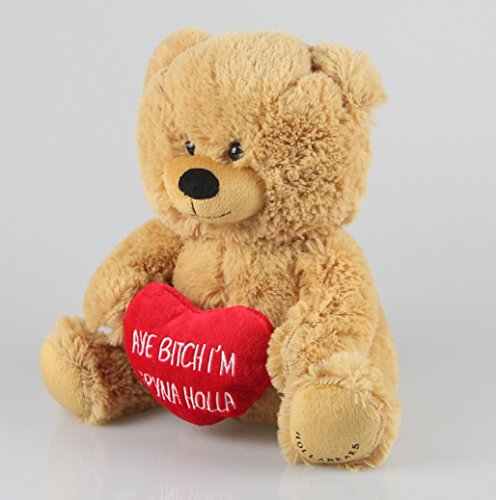Hollabears 10" Aye Bitch I'm Tryna Holla Teddy Bear Plush #TOP1