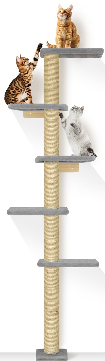 PAWSCRAT Cat Wall Shelves, Wall-Mounted Cat Tree, 5 Tier Floor to Ceiling Cats Tower, 80 Inch Wall-Mounted Cat Scratching Post, Space Saving Cat Furniture and Easliy Climb for All Cats, Gery