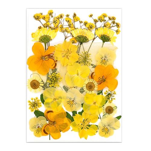 VRԃhCt[tZbgXNbvubLOWG[쐬tHgt[dbP[X葕t[AWg