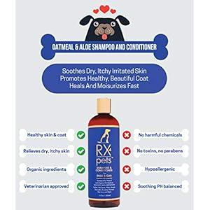 RX4-Dog-Cat-Shampoo-Conditioner-Naturally-Organic-Oatmeal-Aloe-Puppy-Treatment-Supplies-Relief-for-Smelly-Pets-Dry-Itchy-Skin-No-More-Scratching16oz - Cucciolini Doodles   RX4-Dog-Cat-Shampoo-Conditioner-Naturally-Organic-Oatmeal-Aloe-Puppy-Treatment-Supplies-Relief-for-Smelly-Pets-Dry-Itchy-Skin-No-More-Scratching16oz