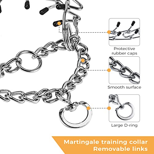 Pettom Dog Prong Collar Dog Choker Pinch Collar No Pull With Comfort Rubber Tips Silver Plating Adjustable Link Chain For Medium Large Dogs Pitbull (Xs 18.3 Inch) #TOP3