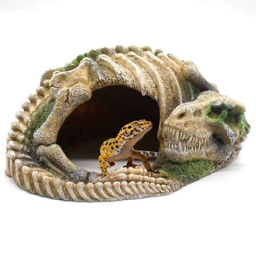Reptile Skull Hideaway Cave for Fish and Amphibians