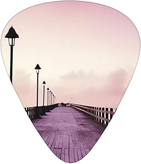 The mumbai filmcity tours Guitar Picks 12 Pack Bass Picks with Organizer Box Guitar Plectrum Includes Thin Medium Heavy Guitar Picks Ukulele Picks for Bass Acoustic Electric Guitars