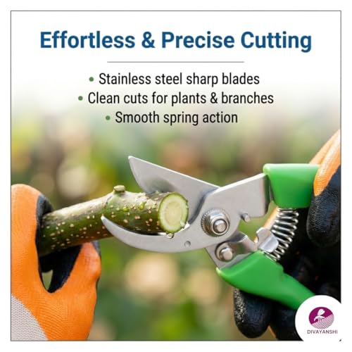 Image of Divayanshi Gardening Gloves & Plant Cutter Combo | Safety Gloves with Sharp Garden Cutter | Easy Grip, Durable Tools for Cutting, Weeding & Home Gardening