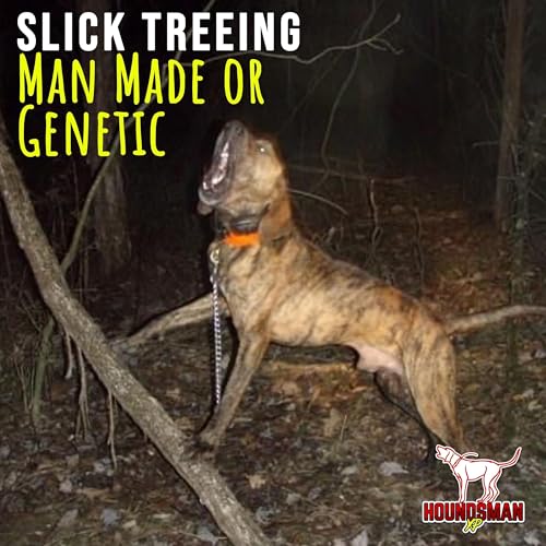 Slick Trees: Genetic or Man Made