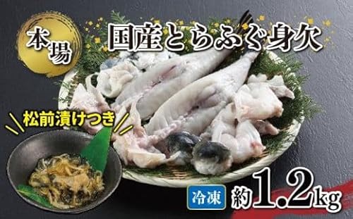 国産 とらふぐ 身欠 セット 約1.1〜1.3kg ふぐ松前付付き 冷凍 ふぐ特集 秋 冬