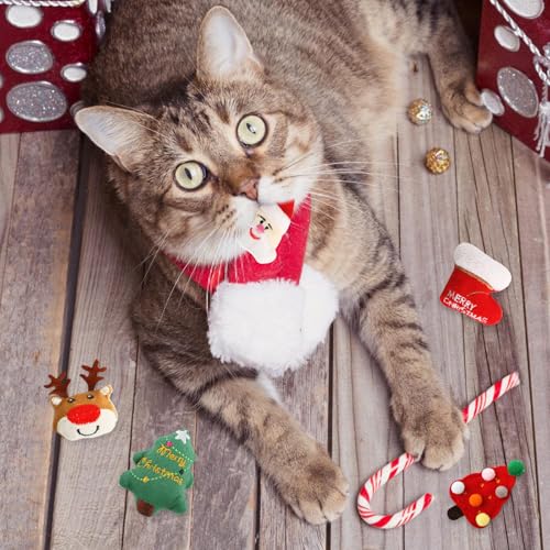 Valicaer Katzenspielzeug Weihnachten,5Pcs Interaktives Spielzeug Weihnachtsbaum Plüschspielzeug Haustierspielzeug Hundespielzeug Weihnachts Kauspielzeug für Haustiere Welpen Zahnreinigung